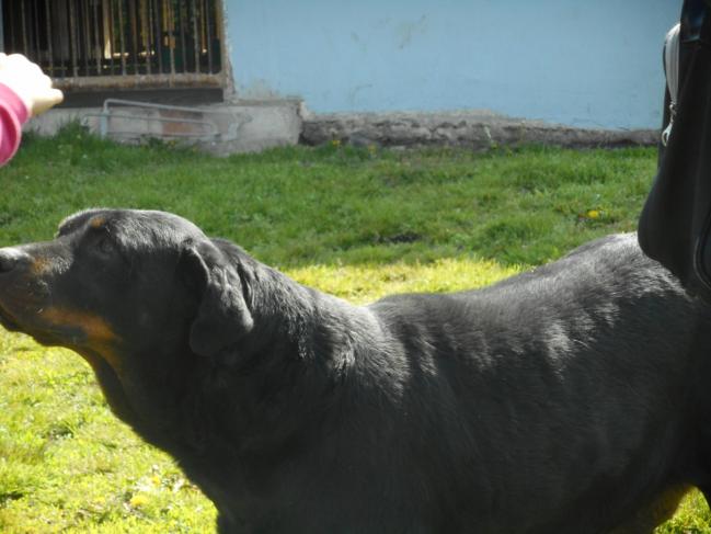 DSCN0977.jpg