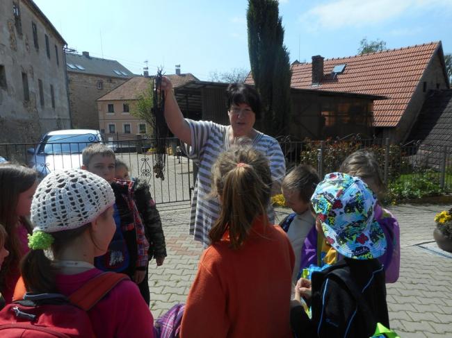 DSCN1019.jpg