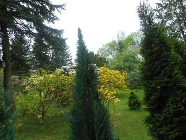 DSCN1239.jpg
