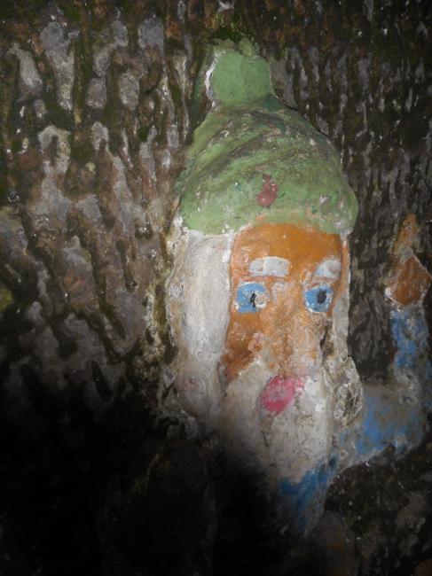 DSCN1181.jpg