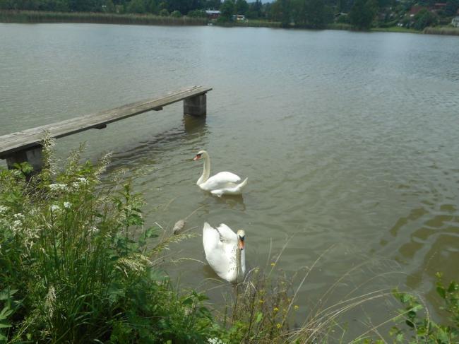 DSCN1308.jpg