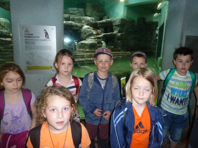 P1090491.JPG
