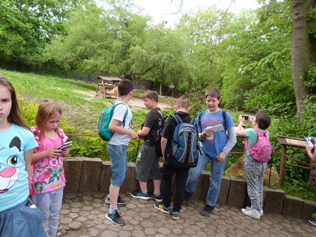 P1140257.JPG