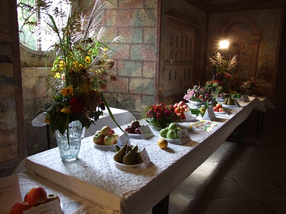 DSCF7192.JPG