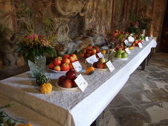 DSCF7188.JPG