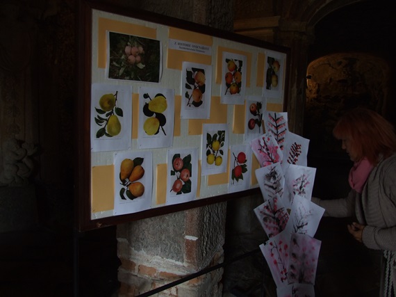 DSCF7183.JPG