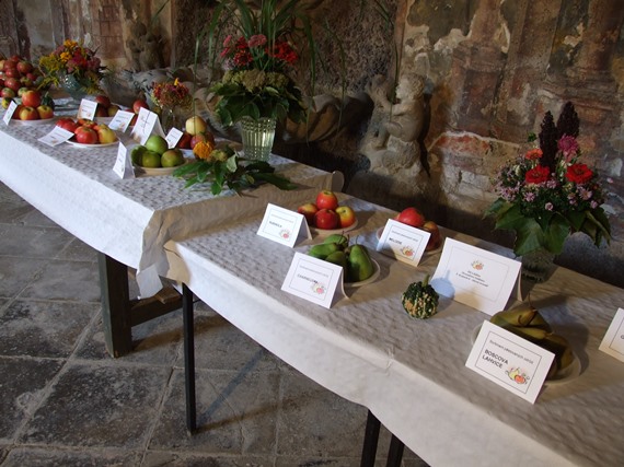 DSCF7191.JPG