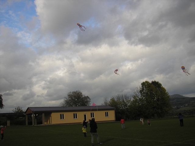 P1012640.JPG