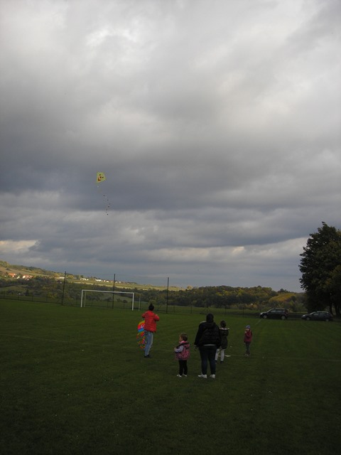 P1012630.JPG