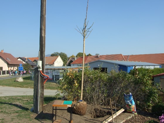 DSCF8580.JPG