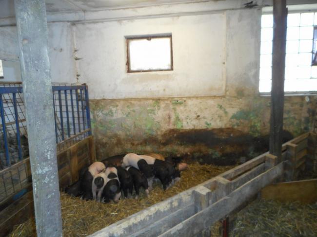 DSCN2160.JPG