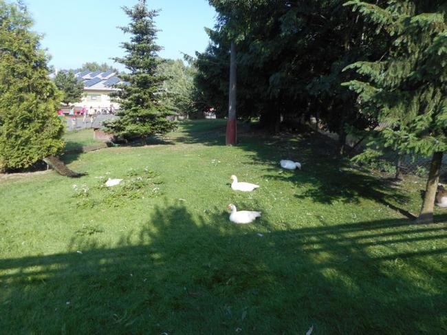 DSCN2201.JPG