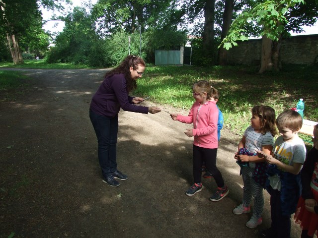 DSCF9668.JPG