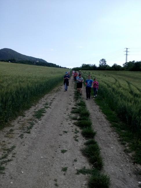IMG_20190613_094146.jpg