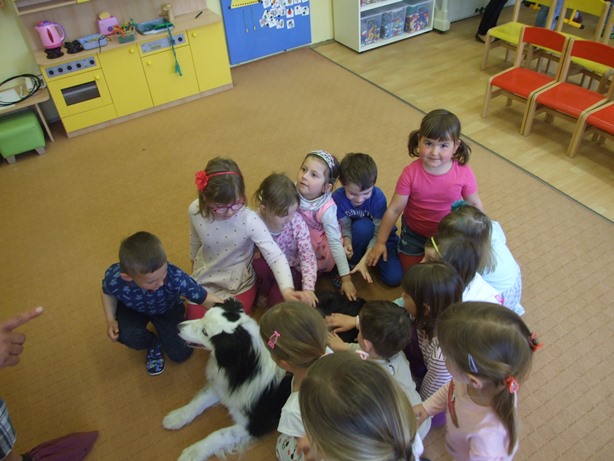 DSCF9331.JPG