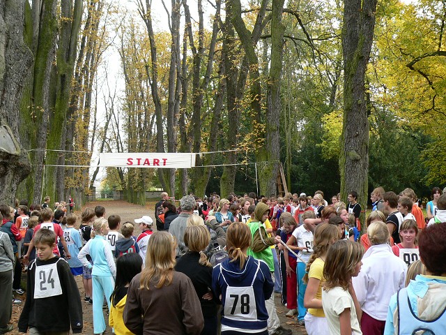 img00009.jpg