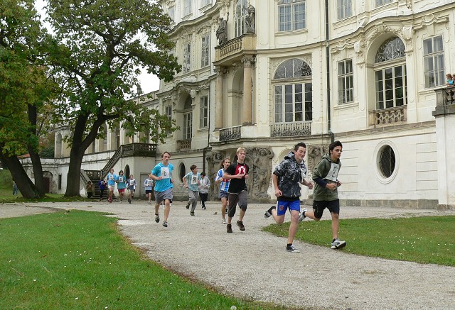 img00017.jpg