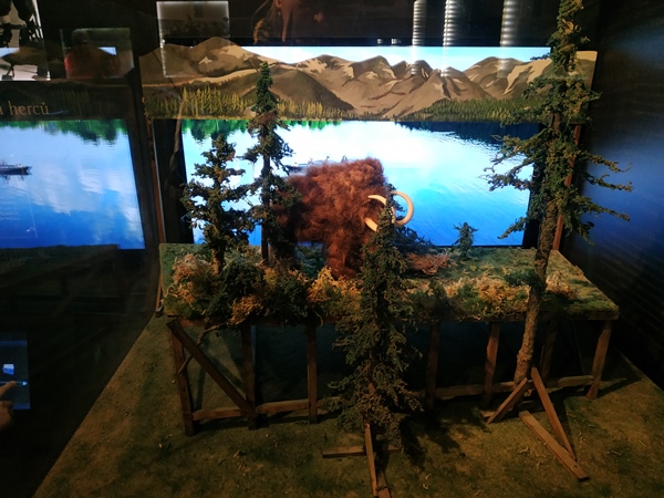 IMG_20191216_110957.jpg