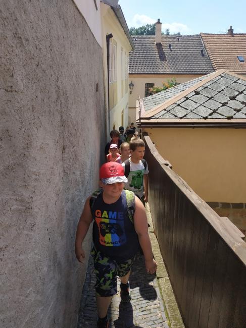 IMG_20210727_114807.jpg