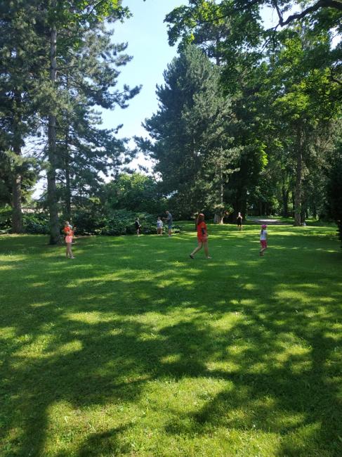 IMG_20210726_103620.jpg