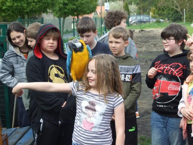 DSCF1718.JPG