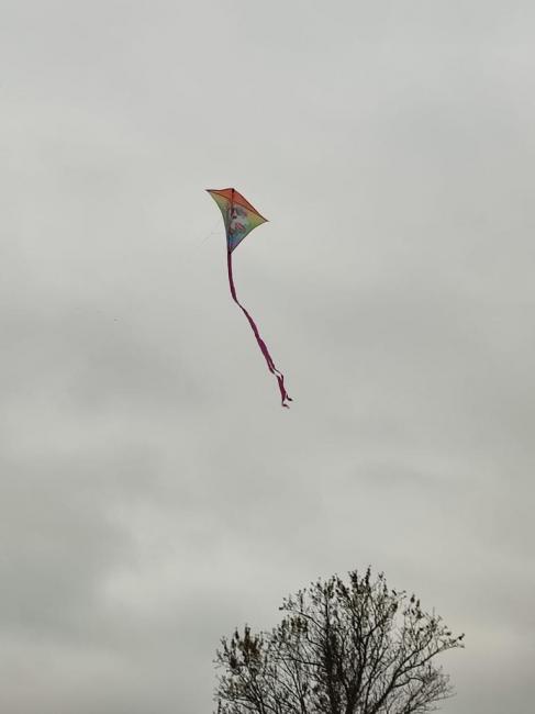 IMG-20231031-WA0052.jpg