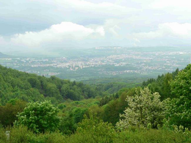 P1220163.jpg