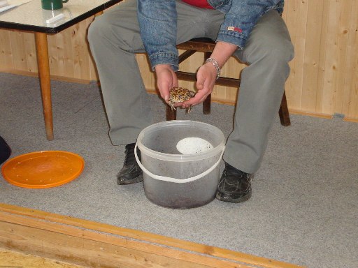 DSC04711.JPG