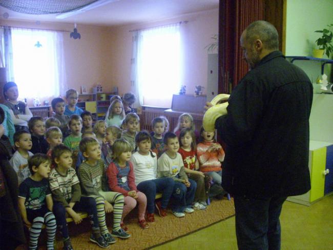 Ocelot  a krajta v MŠ 001.jpg