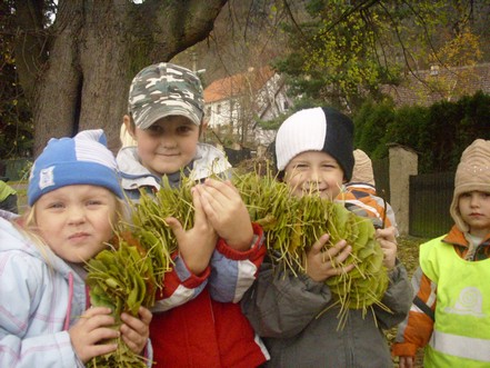 školka 094.jpg