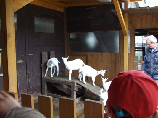 DSCF9771.jpg
