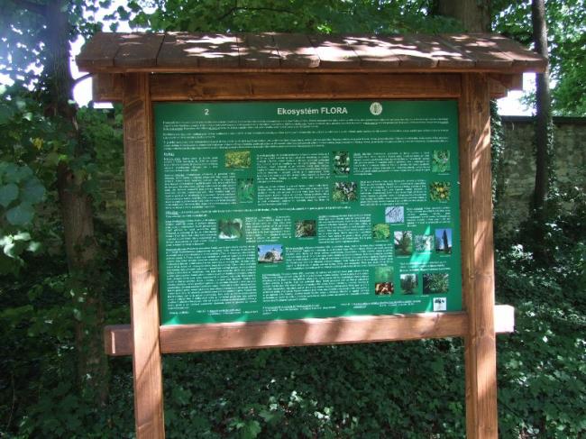 DSCF0285.jpg
