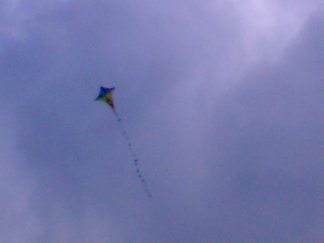PIC_0050.JPG