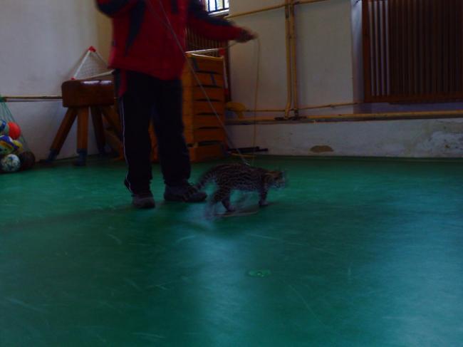 PIC_0093.JPG