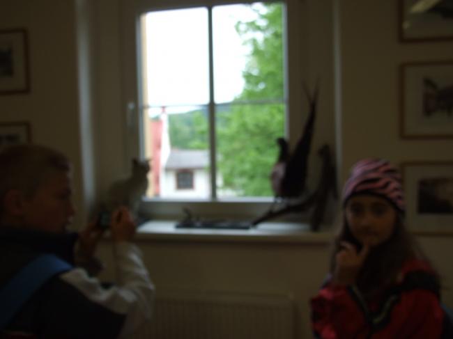 DSCF1486.jpg