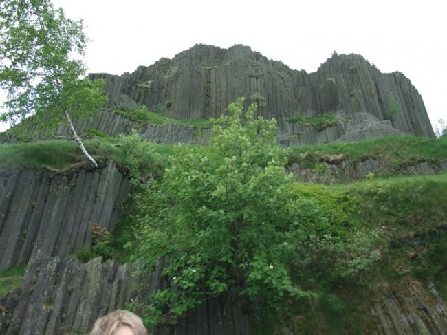 DSCF1637.jpg