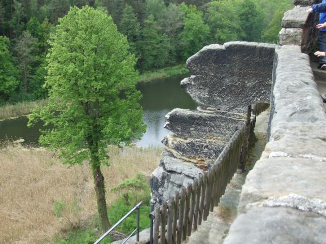 DSCF1609.jpg