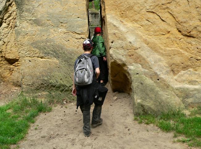 P1330530.jpg