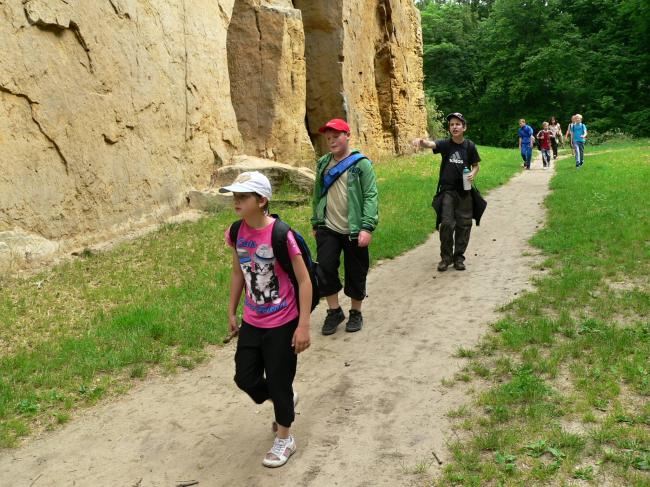 P1330528.jpg