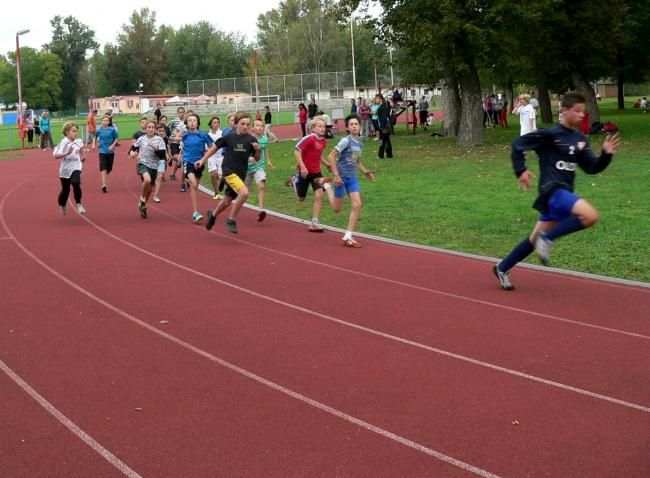 P1340544.jpg