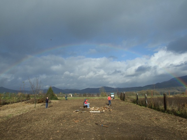 DSCF2711.JPG