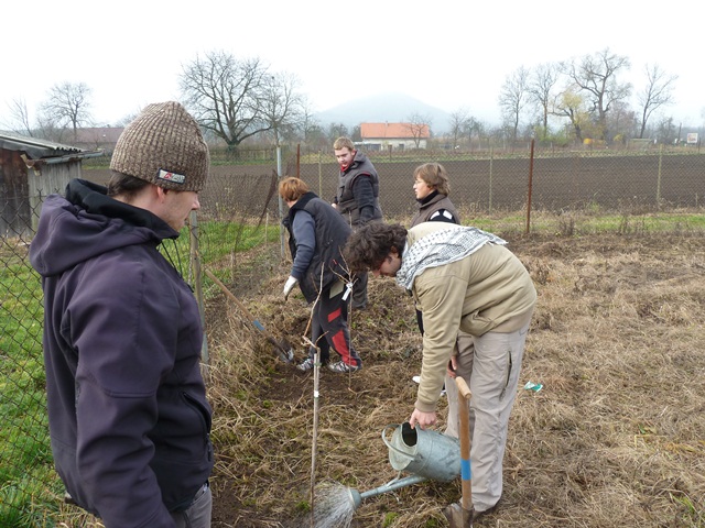 P1050288.JPG