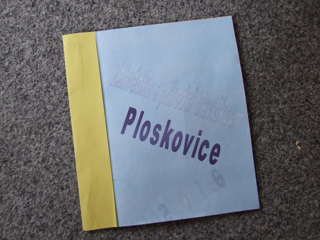 DSCF3271.JPG