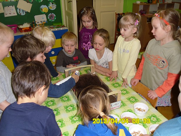 MŠ-Tř 002.jpg