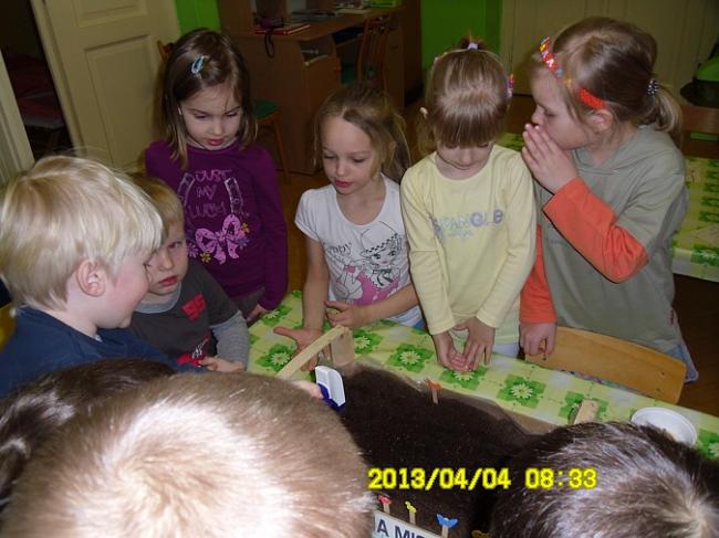 MŠ-Tř 003.jpg