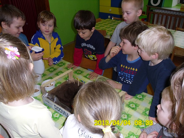 MŠ-Tř 001.jpg