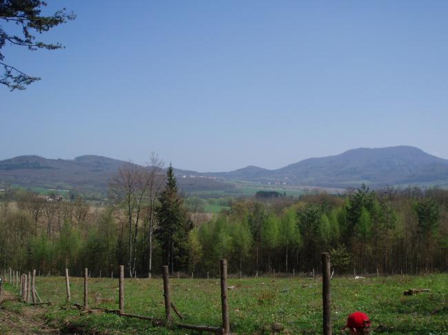 P1010104.JPG