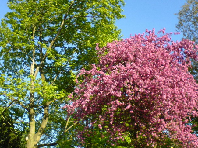 DSC00115.JPG