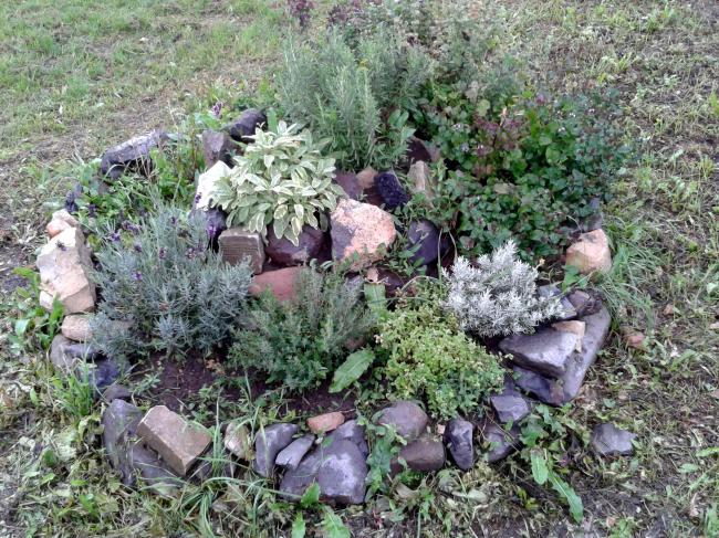 2013-09-16 08.41.00.jpg