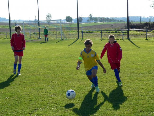 P1380861.jpg
